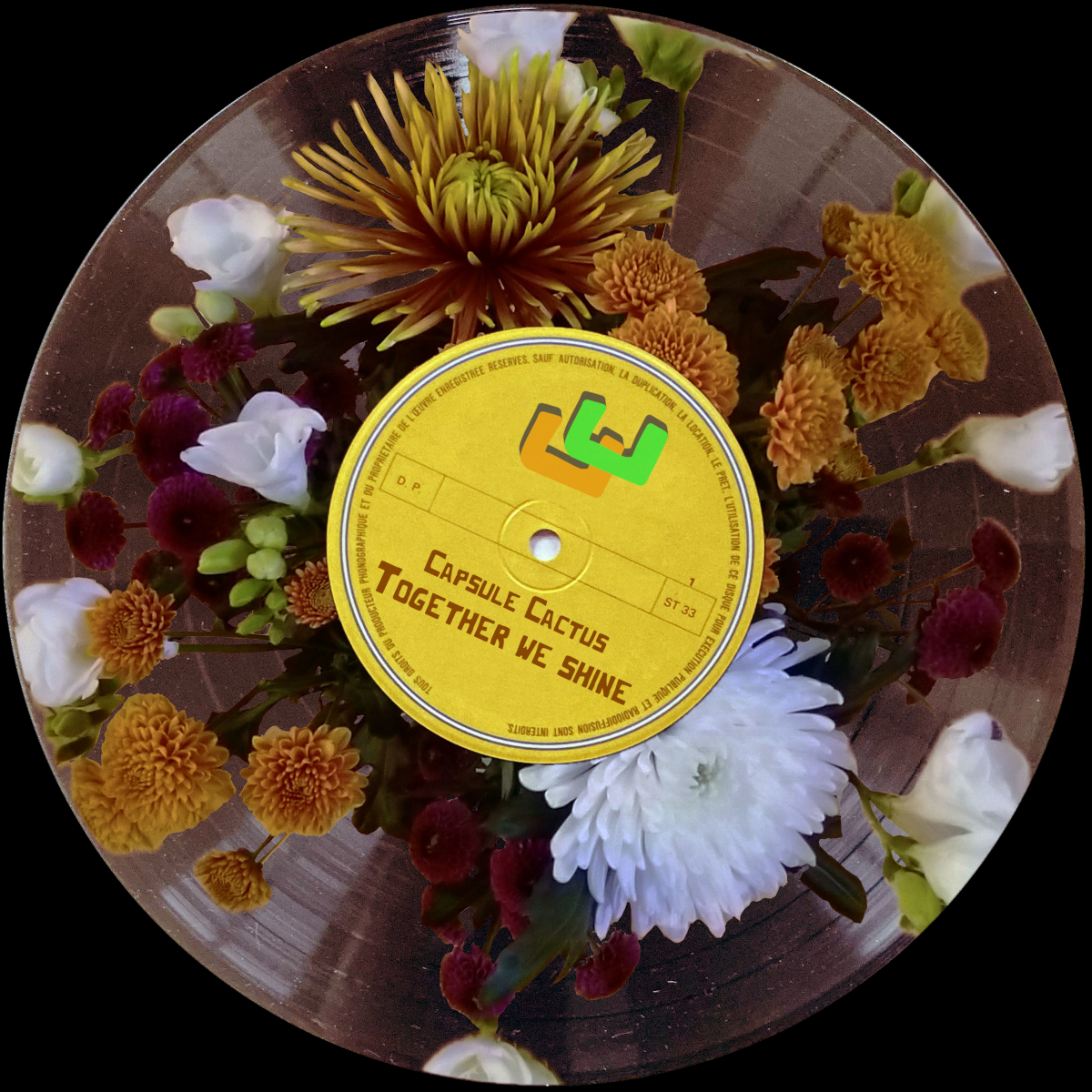 Together we shine (2025)