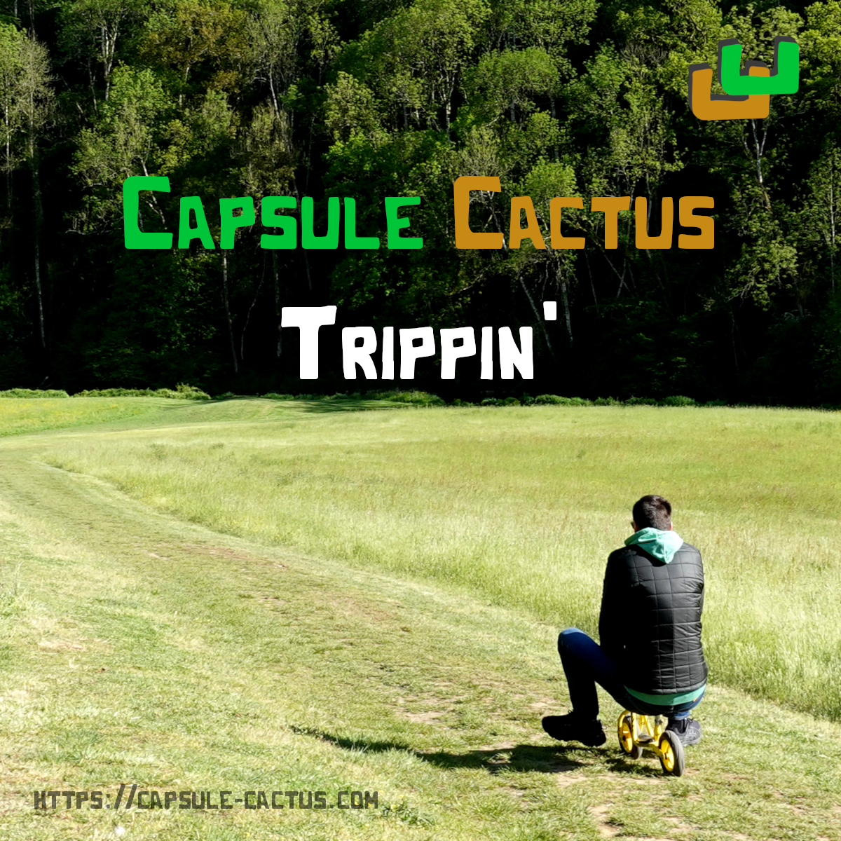 Trippin' (single)